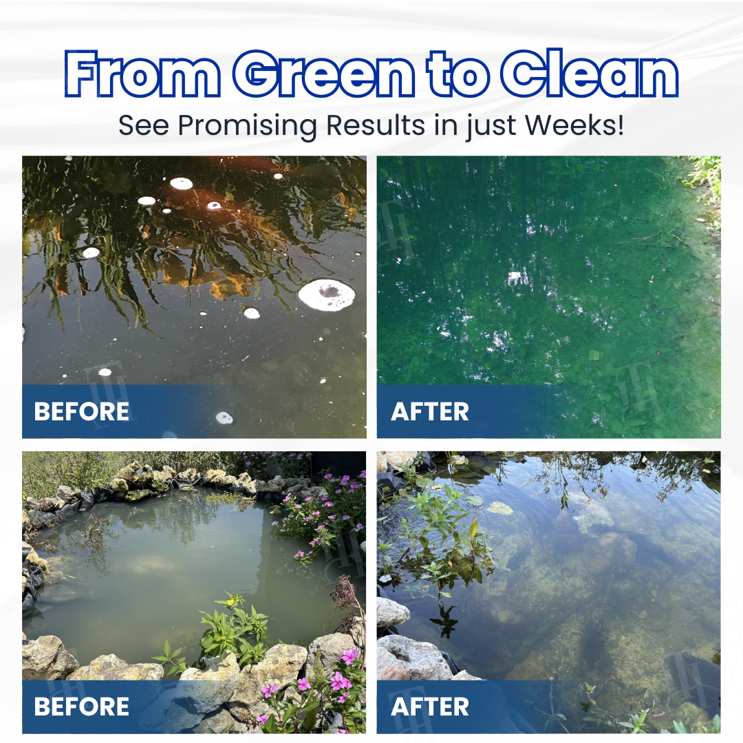 🌟 Official Store |⏱️ Crystal Clear in 24 Hours! | Remifa® Aqua-Guardian Pro Formula