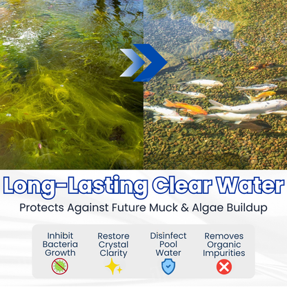🌟 Official Store |⏱️ Crystal Clear in 24 Hours! | Remifa® Aqua-Guardian Pro Formula