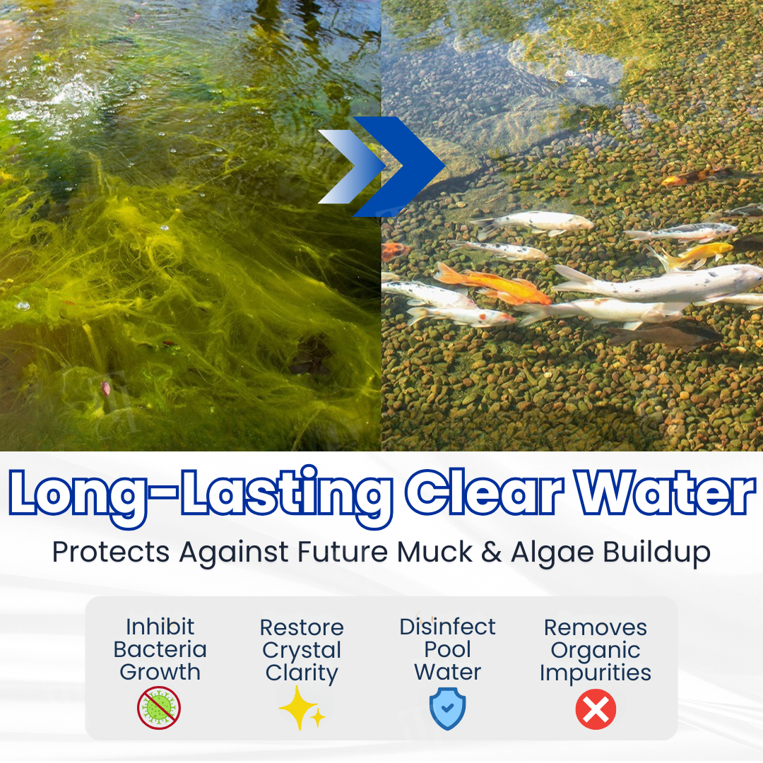 🌟 Official Store |⏱️ Crystal Clear in 24 Hours! | AEXZR® Aqua-Guardian Pro Formula